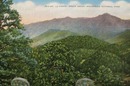 Mt le Conte Smoky Mtns. Tenn Postcard