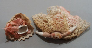 Cival War Era Doll, Pink dress with lace