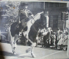 Man on Horse in Parade Photo