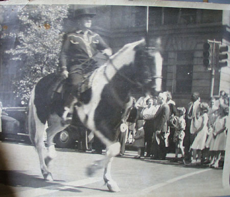 Man on Horse in Parade Photo
