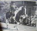 Man on Horse in Parade Photo