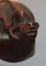 Monkey on shell pipe.