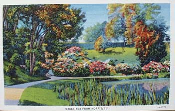Greetings from Morris Illinois postcard,