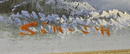 Pr of Sim JH paintings, These look oriental