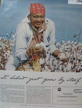 American Cotton picking Grow By Itself Ad 1941