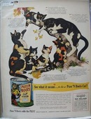 Puss 'N Boots Cats & Butterflies Ad 1951