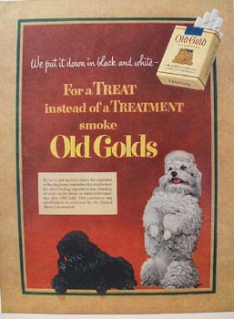 Old Gold Black & White Poodle Ad 1952