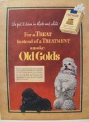 Old Gold Black & White Poodle Ad 1952
