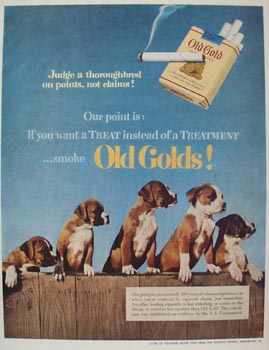 Old Gold & Boxer Pups Ad 1952