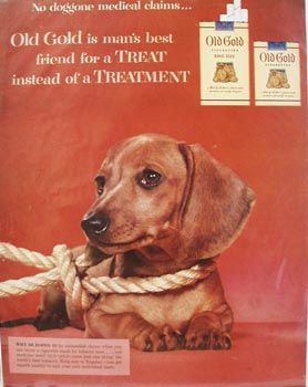 Old Golds No Doggone Medical Claims Ad 1954