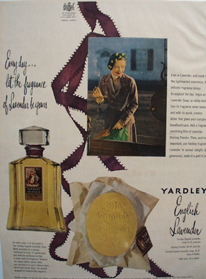 Yardley English Lavender Every Day Ad 1950