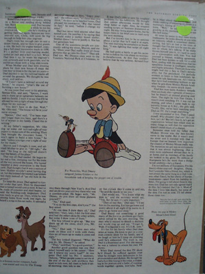 My Dad, Walt Disney Article 1956