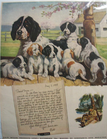 Polk Products Bess & Pups Ad 1949