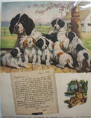 Polk Products Bess & Pups Ad 1949