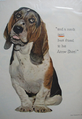 Arrow Shirt & Bassett Hound Ad 1952