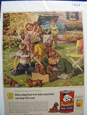 Friskies Dog Food & Irish Setter Ad 1955