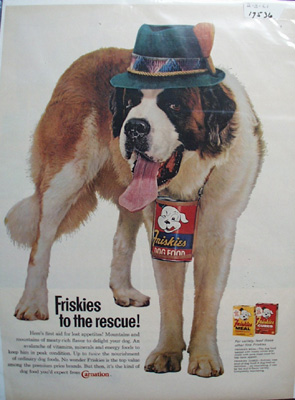 Friskies & St Bernard With Green Hat Ad 1961
