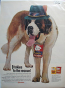 Friskies & St Bernard With Green Hat Ad 1961