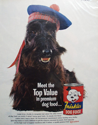 Friskies & Scott Terrier With Blue Cap Ad 1961