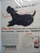 Gaines & Scott Terrier By Ruler Ad 1945