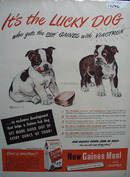 Gaines & Bull Dog Puppies Ad 1948