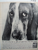 Gaines Gravy Train & Basset Ad 1961