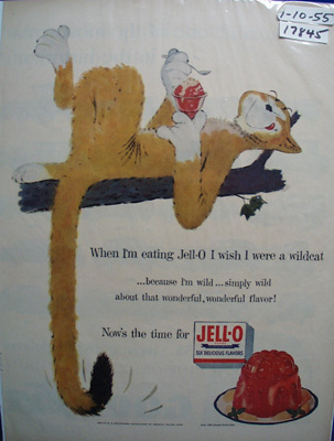 Jell-0 & Cat on Limb Ad 1955