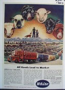 White all roads lead to market. Ad