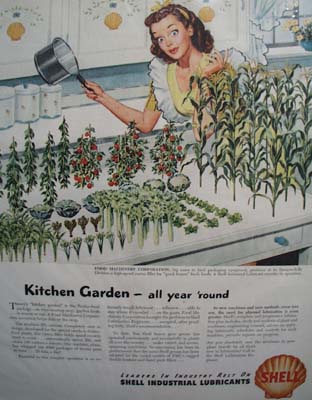 Shell fresh garden year around Ad 1946.