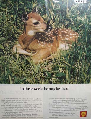 Shell Gardona Ad 1970