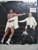 Cassius Clay & Sonny Liston Fight Article 1964