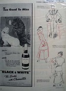 Black & White Whiskey Scottie Too Good Ad 1947