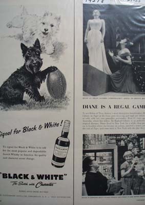 Black & White Whiskey Scottie Signal Ad 1955