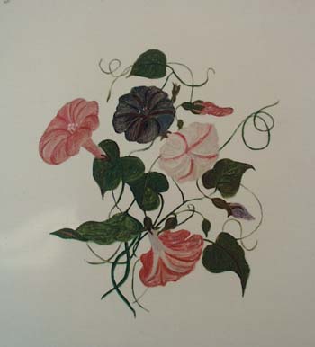 Petunia painting.