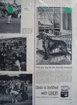 Ben Hogan stays dry and wins the 1953 British Open Ad 1953