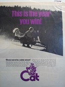 Arctic cat year of the cat Ad 1970.