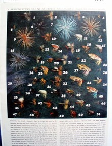 Helen Shaw 101 trout and salmon flies Ad 1960.
