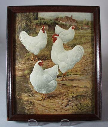 White Chickens and Rooster Print.