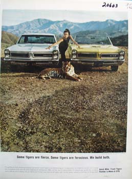 Pontiac Tigers Are Fierce Ad 1965