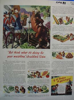 Bordens Elsie The Cow Waistline Ad 1943