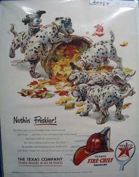 Texaco Dalmatian Nothing Friskier Ad 1951