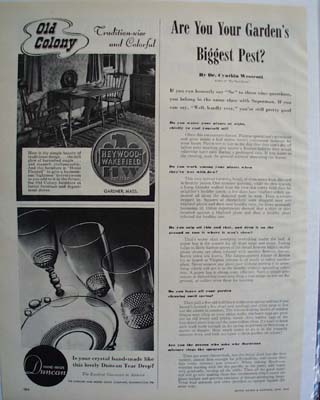 Duncan Crystal Teardrop Pattern Ad 1946