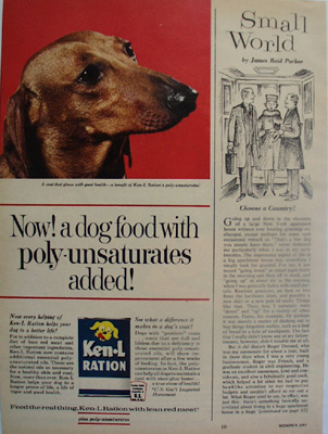 Ken L ration Dog Food And Dachshund Ad 1963