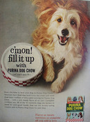 Purina Dog Chow And Wire Haired Dog Ad 1965