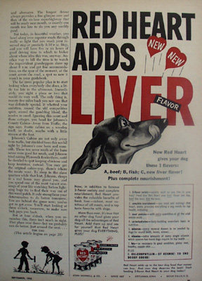 Red Heart Dog Food And Dachshund Ad 1953