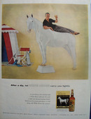 White Horse Scotch Man Reclining On Horse Ad 1958