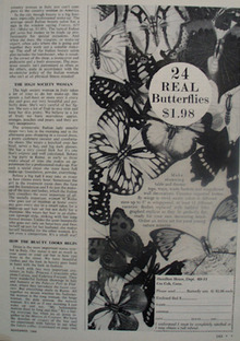 Hamilton House And Butterflies Ad 1964