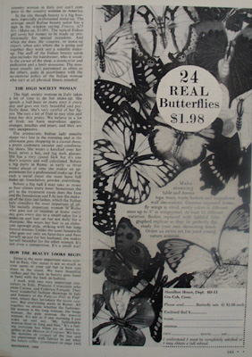 Hamilton House And Butterflies Ad 1964