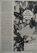 Hamilton House And Butterflies Ad 1964