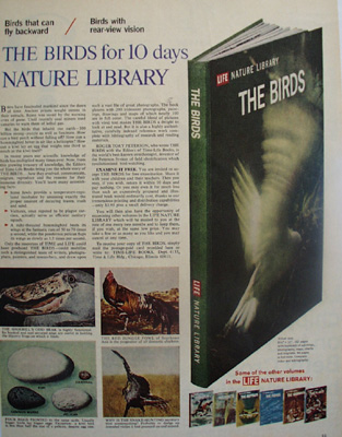 Birds Enjoy These As Guest of Life Ad 1965